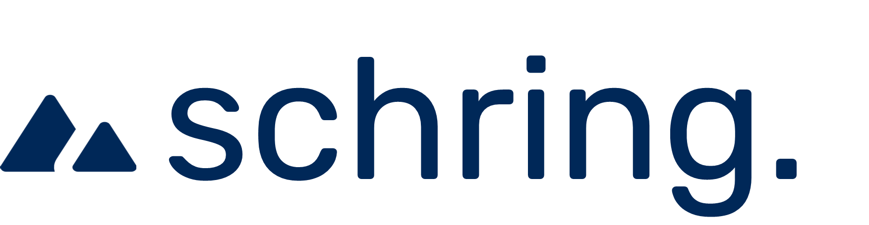Schring Consulting